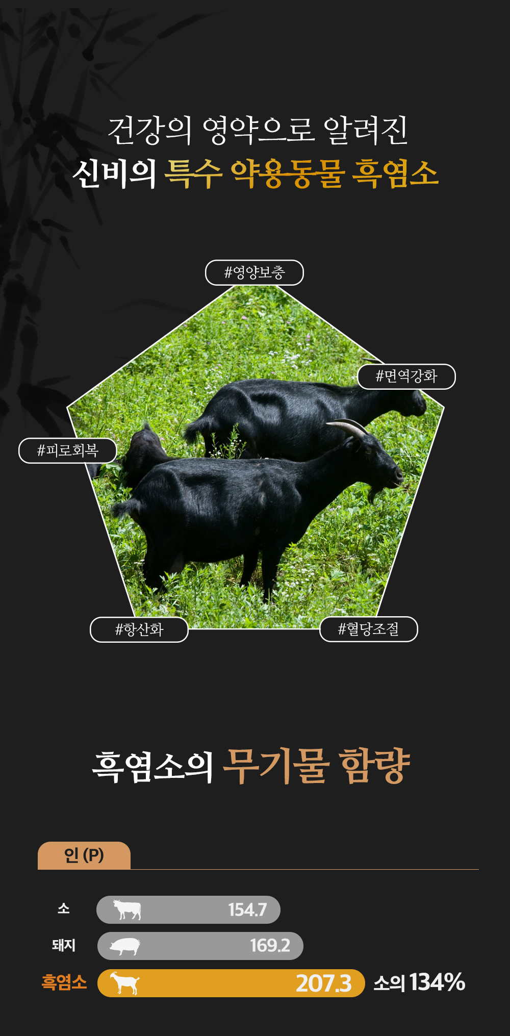 육도락 흑진환 상세페이지